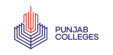 Punjab Colleges